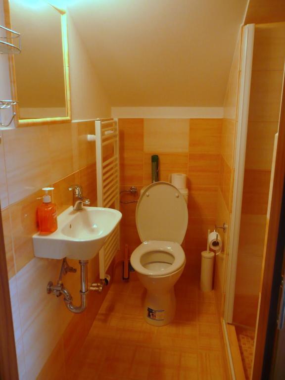 Ami Penzion Brno Kamer foto